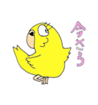 分かりやすく話をしましょう。（個別スタンプ：13）