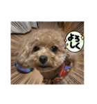 ワンコ0510（個別スタンプ：2）