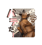 ミニピンしいたけ太郎のいろいろ2（個別スタンプ：11）