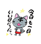 還暦ねこ（個別スタンプ：1）