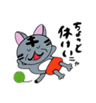 還暦ねこ（個別スタンプ：3）
