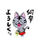 還暦ねこ（個別スタンプ：8）