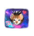 ちあっくんスタンプ②（個別スタンプ：24）