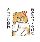 意外と使える！？悪事回避用猫スタンプ！！（個別スタンプ：34）