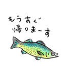 釣り人のためのお魚スタンプ【修正版】（個別スタンプ：20）