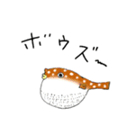 釣り人のためのお魚スタンプ【修正版】（個別スタンプ：23）