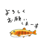 釣り人のためのお魚スタンプ【修正版】（個別スタンプ：34）