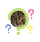 げんくんといっしょ①（個別スタンプ：1）
