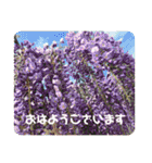 ゆきちゃん宅スタンプ30（個別スタンプ：4）
