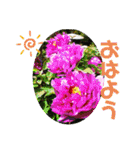 ゆきちゃん宅スタンプ30（個別スタンプ：6）