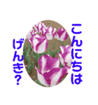 ゆきちゃん宅スタンプ30（個別スタンプ：16）