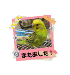 ゆきちゃん宅スタンプ30（個別スタンプ：17）