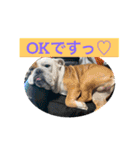 大好き金太郎6（個別スタンプ：4）