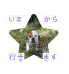 大好き金太郎6（個別スタンプ：5）