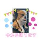 大好き金太郎6（個別スタンプ：7）