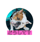 大好き金太郎6（個別スタンプ：9）