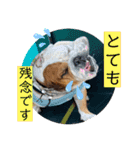 大好き金太郎6（個別スタンプ：10）
