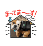 大好き金太郎6（個別スタンプ：14）