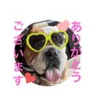 大好き金太郎6（個別スタンプ：17）