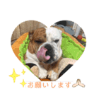 大好き金太郎6（個別スタンプ：19）