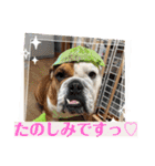 大好き金太郎6（個別スタンプ：20）