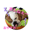 大好き金太郎6（個別スタンプ：21）