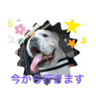 大好き金太郎6（個別スタンプ：23）
