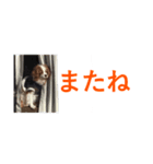 DOG.2022（個別スタンプ：8）