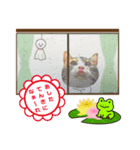 ねことも＆うちのねこ（個別スタンプ：7）