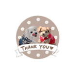 ミル＆イヴ（個別スタンプ：1）