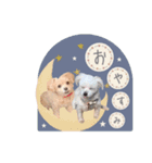 ミル＆イヴ（個別スタンプ：3）