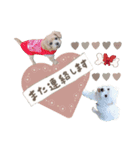 ミル＆イヴ（個別スタンプ：14）