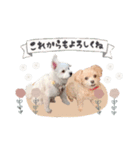 ミル＆イヴ（個別スタンプ：15）