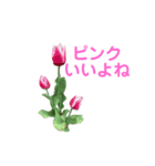 植物のスタンプ2（個別スタンプ：2）