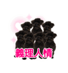 びゃんちゃんスタンプ3（個別スタンプ：6）