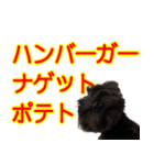 びゃんちゃんスタンプ3（個別スタンプ：7）