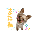 もずかぼ 2（個別スタンプ：6）