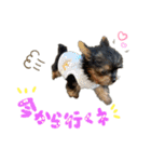 もずかぼ 2（個別スタンプ：7）