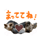 もずかぼ 2（個別スタンプ：10）