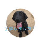 こまちゃんスタンプ！（個別スタンプ：4）