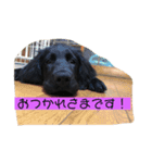 こまちゃんスタンプ！（個別スタンプ：8）