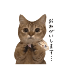 にぼしといっしょ（個別スタンプ：13）