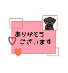 ラブラドール 黒らぶ（個別スタンプ：5）