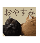 あいさつにゃんことば（個別スタンプ：8）