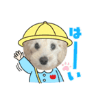 あむたんスタンプ‎‎´•ﻌ•`（個別スタンプ：1）