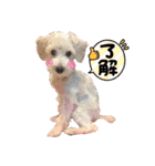 あむたんスタンプ‎‎´•ﻌ•`（個別スタンプ：3）