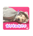 あむたんスタンプ‎‎´•ﻌ•`（個別スタンプ：8）