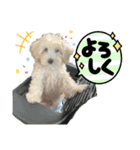 あむたんスタンプ‎‎´•ﻌ•`（個別スタンプ：9）