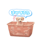 あむたんスタンプ‎‎´•ﻌ•`（個別スタンプ：14）