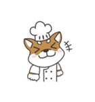 Shibaken Chef-First set of LINE stickers（個別スタンプ：1）